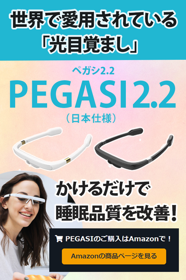 PEGASI2.2(日本仕様)